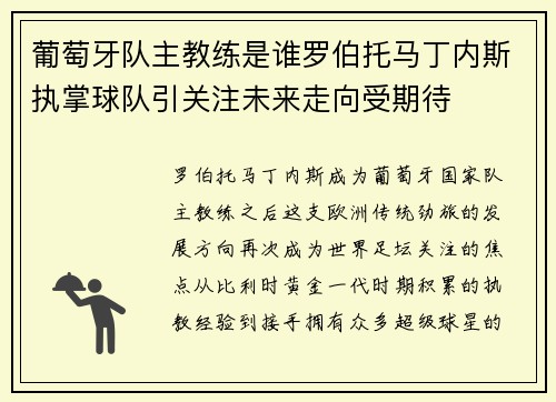 葡萄牙队主教练是谁罗伯托马丁内斯执掌球队引关注未来走向受期待